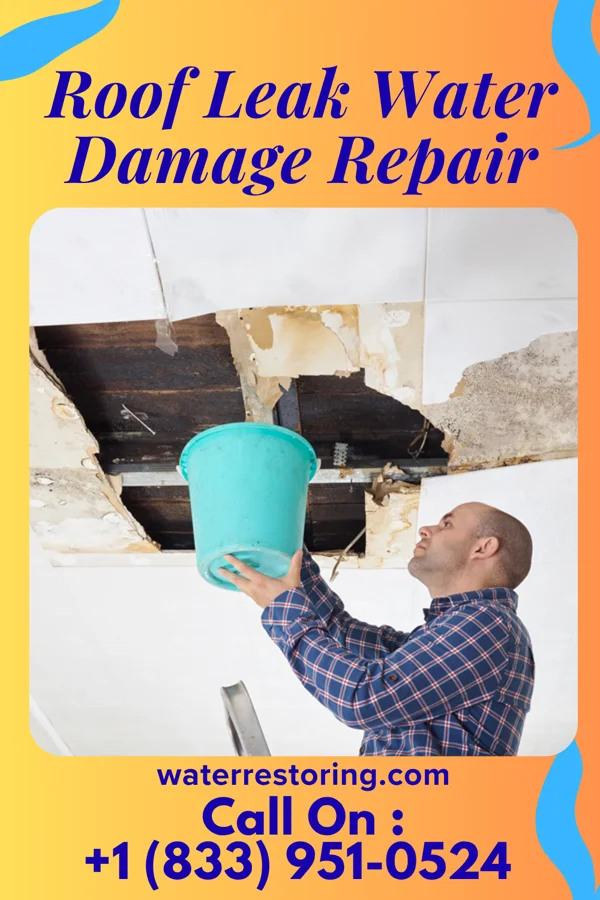 Roof Leak Water Damage Repair in St. Francis, KS